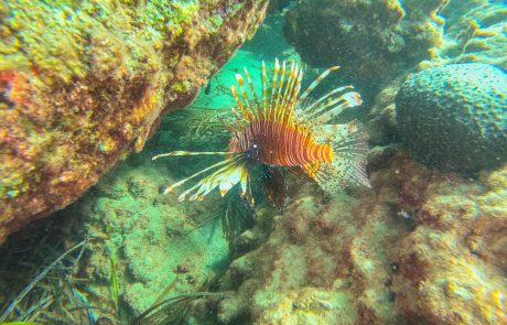 Bathymetry – on field2