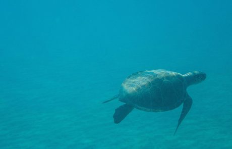 Bathymetry – on field6